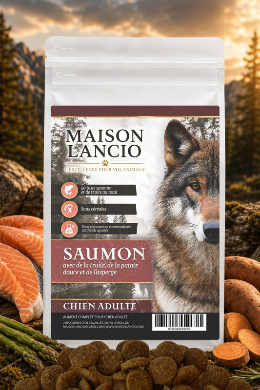 Sachet Maison Lancio de croquettes pour chien adulte au saumon et à la truite