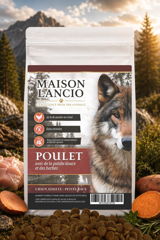 Croquettes adaptées à un petit chien adulte