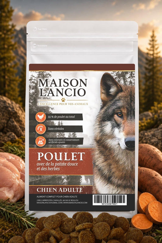 Transition alimentaire progressive avec de nouvelles croquettes pour chien